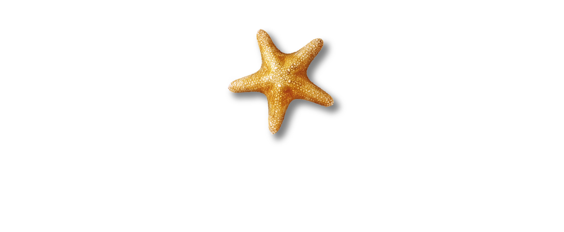 01 SEA LIFE + Malaysia (White Text) RGB
