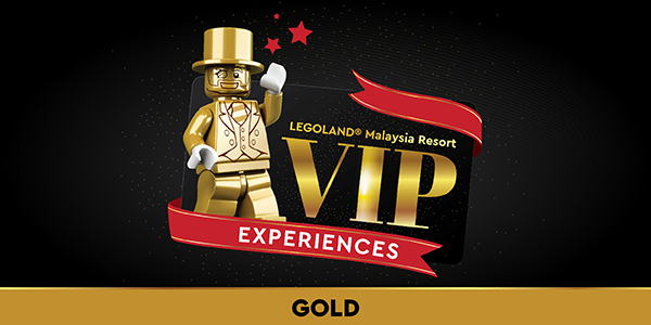 VIP Experience GOLD Website (600X300px) (1)
