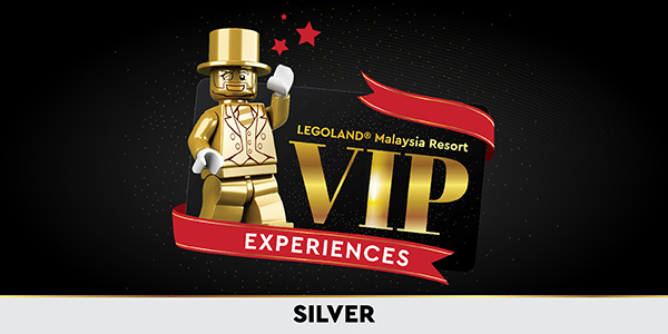 VIP Experience SILVER Website (600X300px) (1)