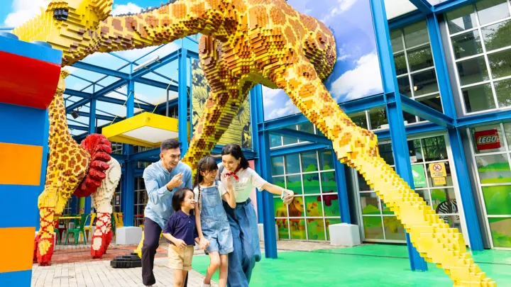 Imagination Zone
