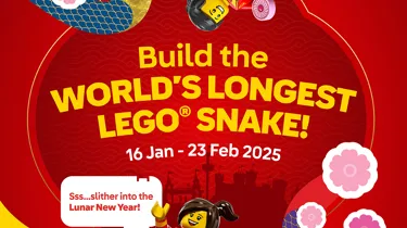 1080X1080px LNY Digital