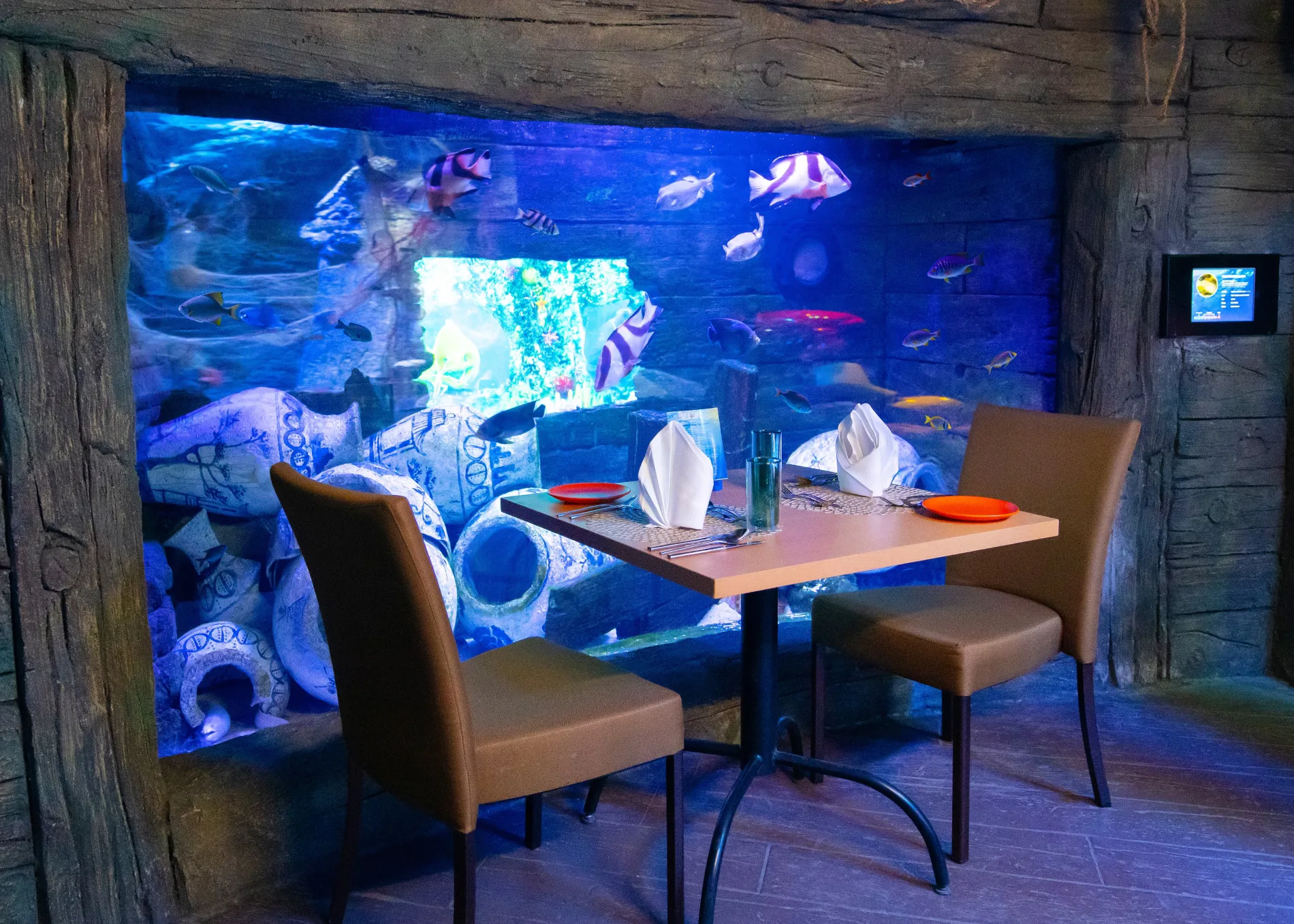 EEL ENCOUNTER