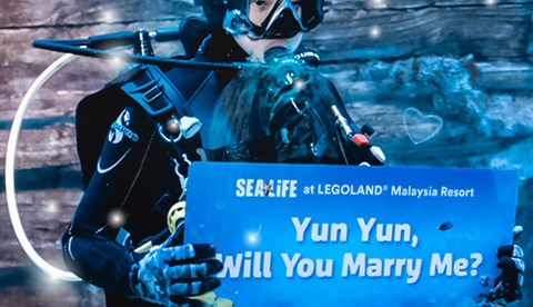 Underwater Marriage Proposal