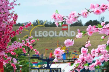 CNY at LEGOLAND Malaysia Resort