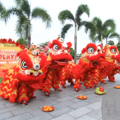 Lion Dance 3