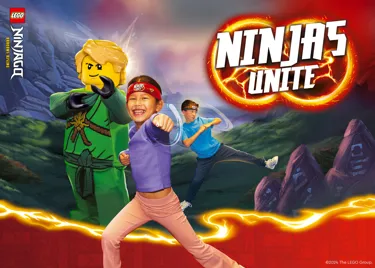 16 Ninjago Block Image 2100X1500