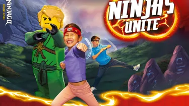 16 Ninjago Block Image 2100X1500