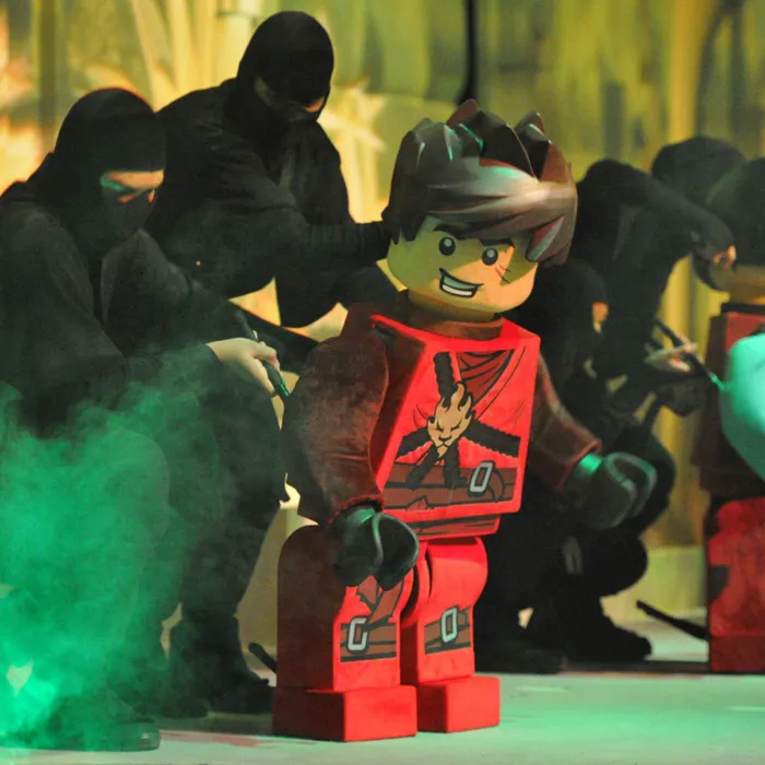 LEGO NINJAGO & The Realm of Shadows