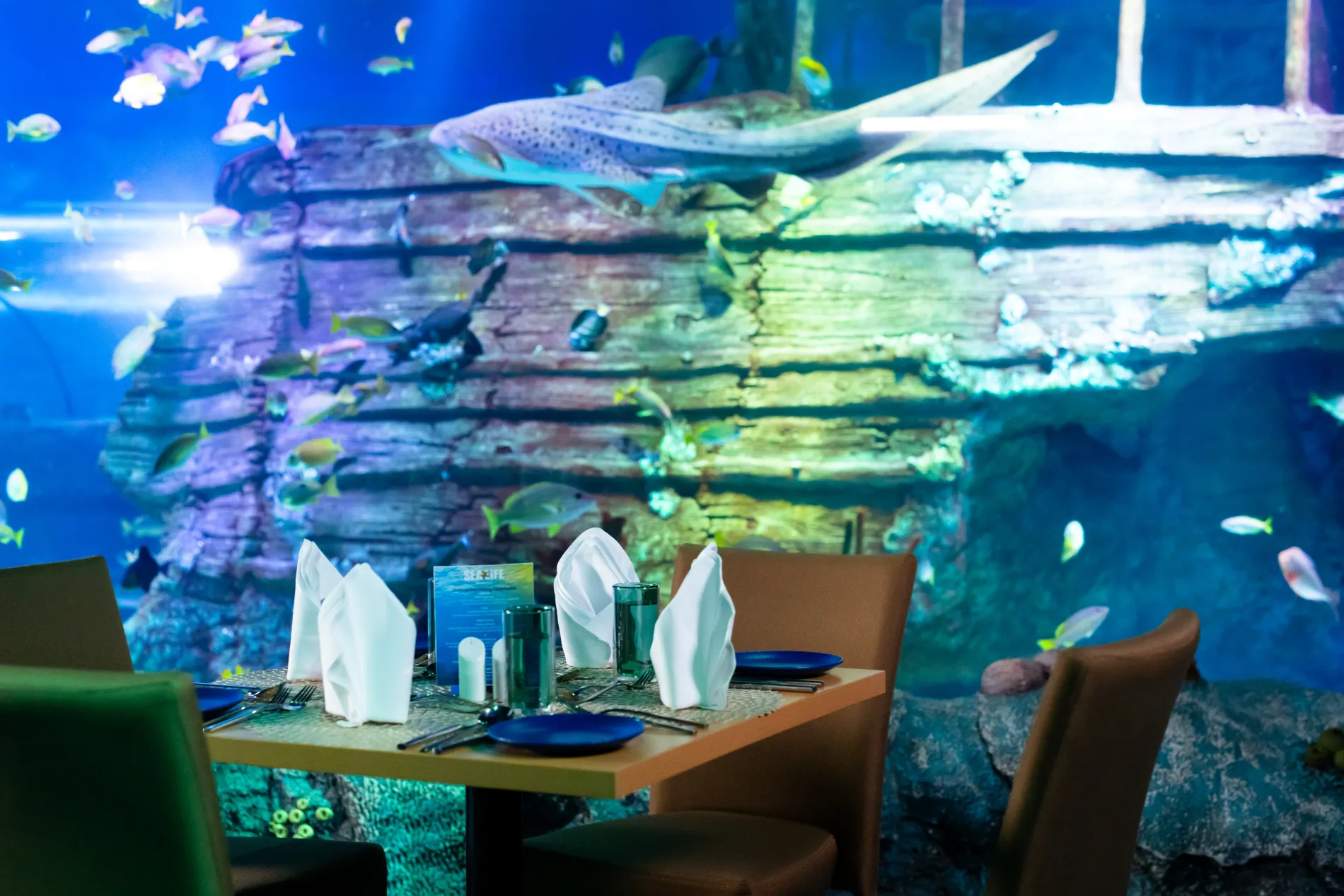 4 Course Dining