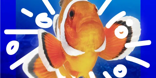 Education - SEA LIFE