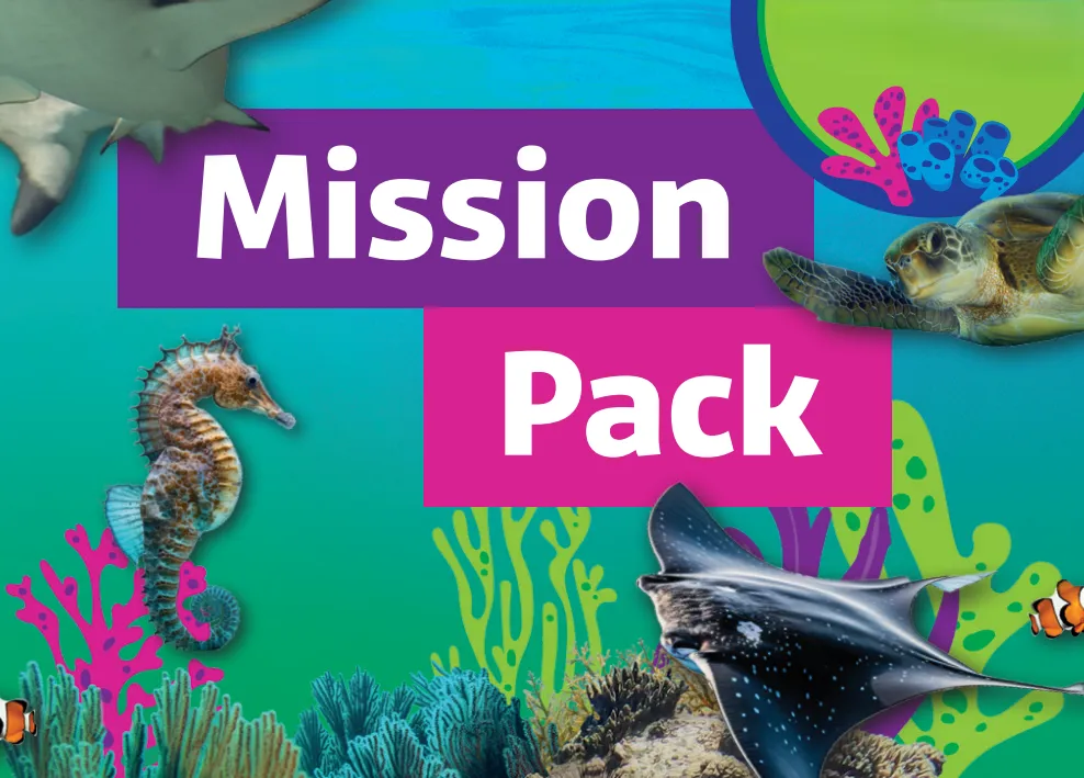 MISSION PACK