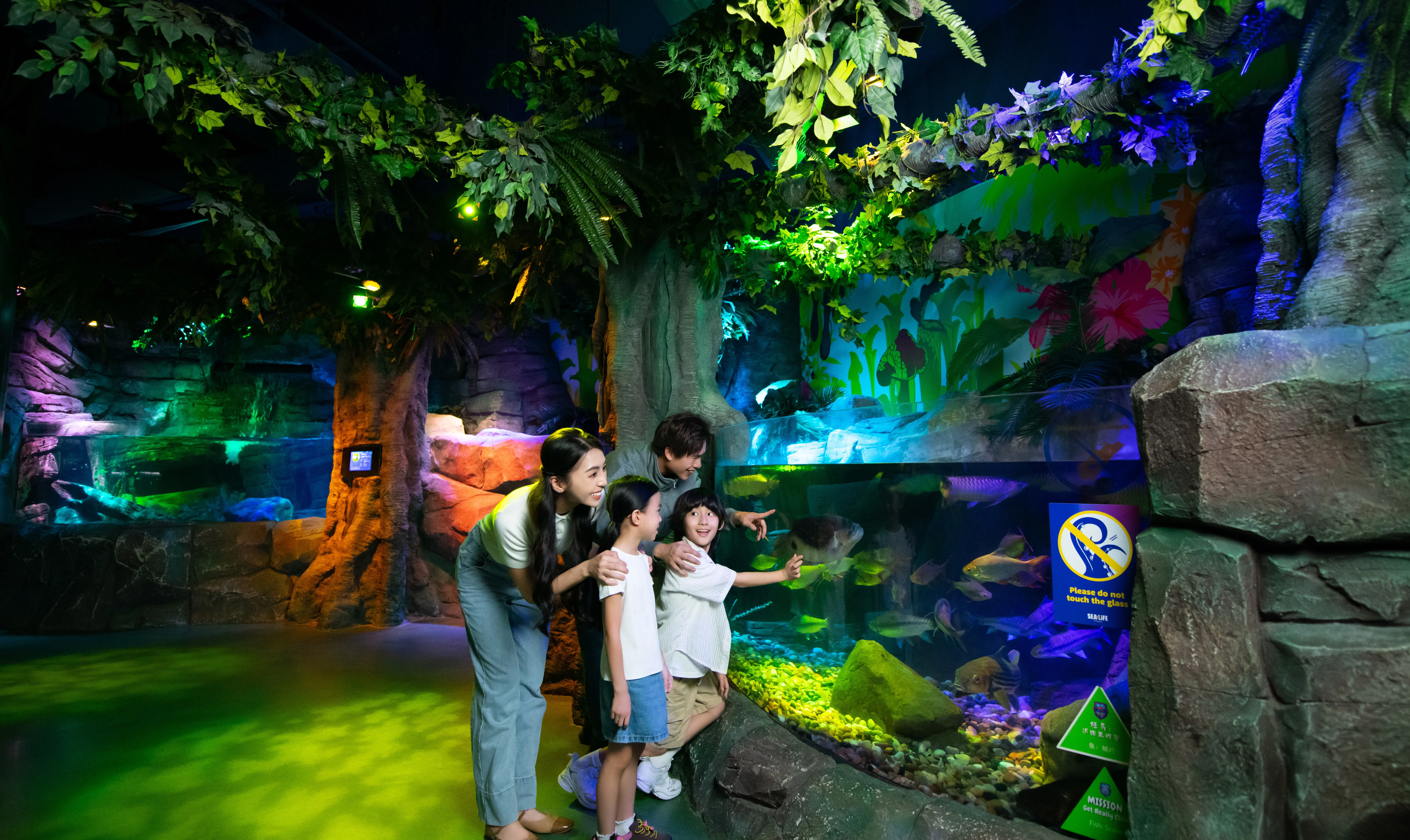 MALAYSIAN RAINFOREST 3