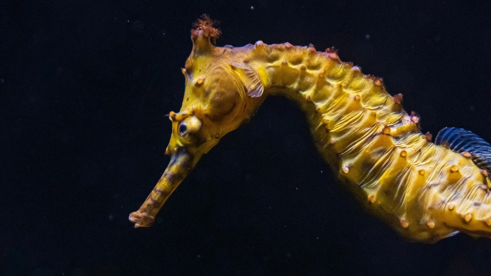 Pexels Rachel Claire 6123086