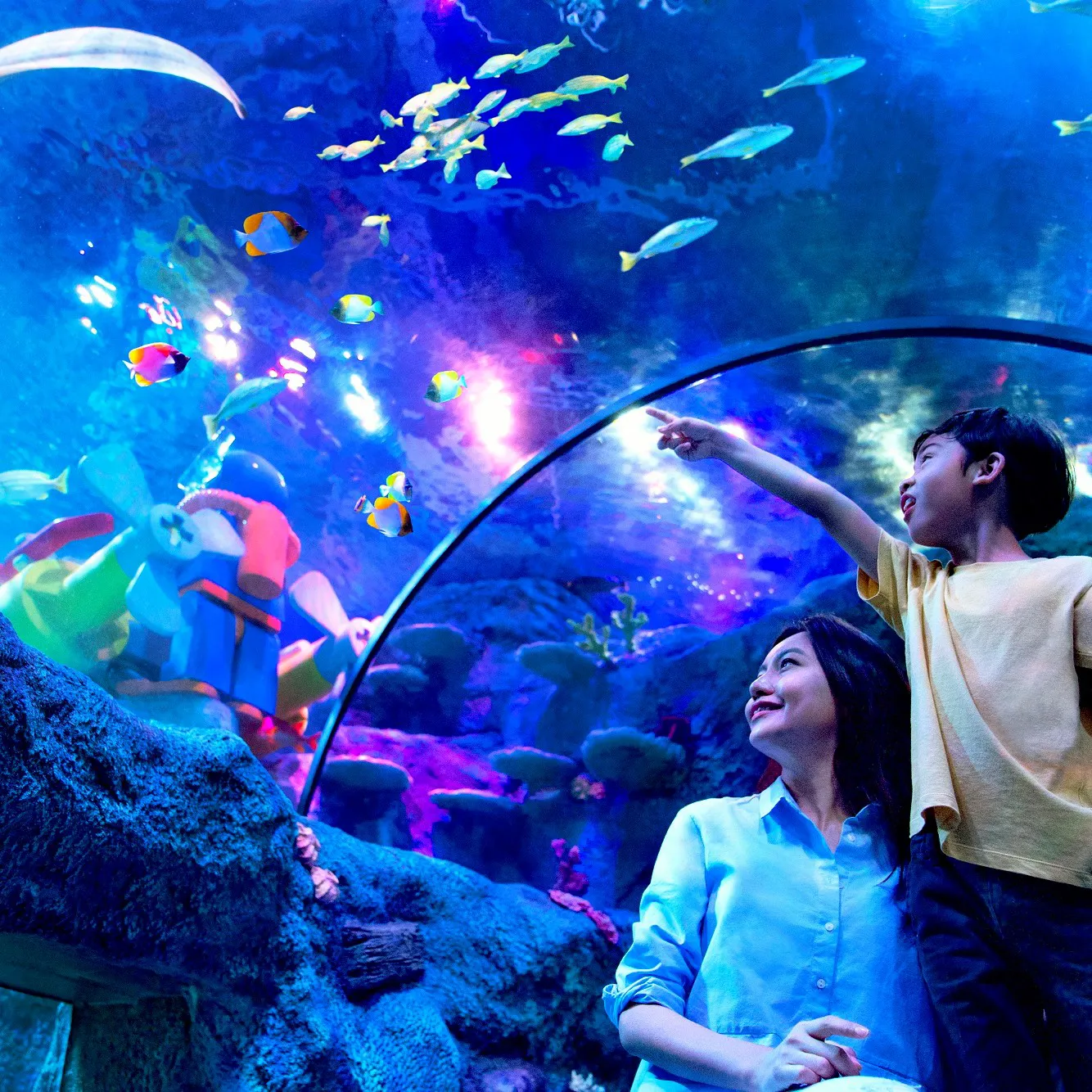 1-Day Single Park (Sea Life)