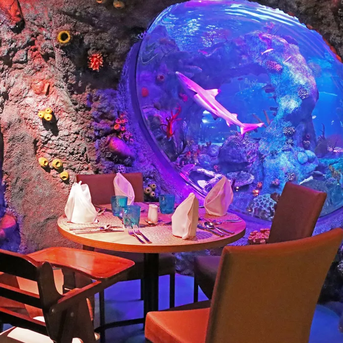 Ocean Cave