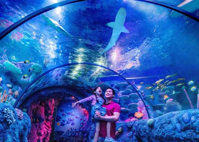 OCEAN TUNNEL