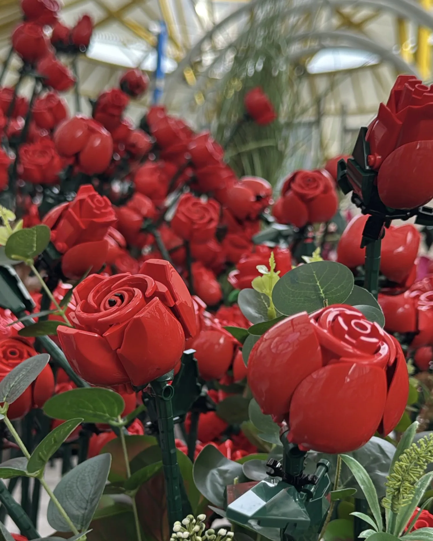 IMG 1357 4X5