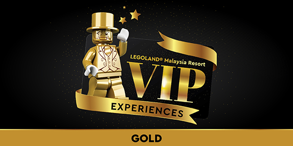 VIP Experience GOLD Website (600X300px)