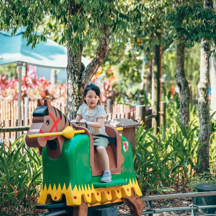 Royal Joust at LEGO Kingdoms