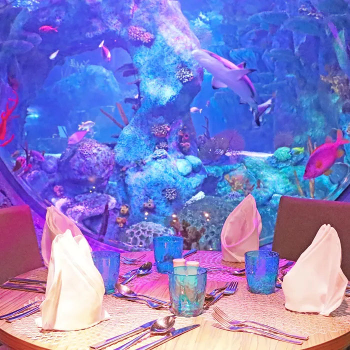 Ocean Cave