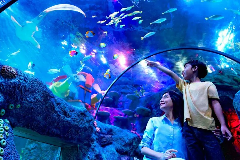 SEA LIFE at LEGOLAND Malaysia Resort