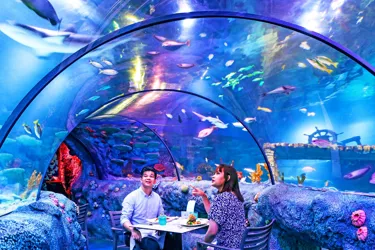 Underwater Dining Experience