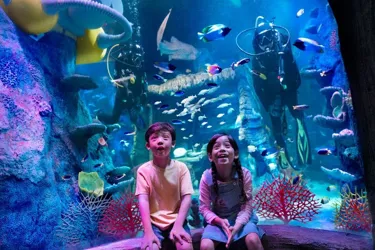 SEA LIFE at LEGOLAND Malaysia Resort