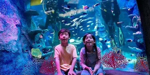 SEA LIFE at LEGOLAND Malaysia Resort