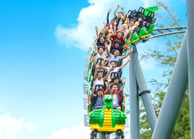 THE DRAGON 5