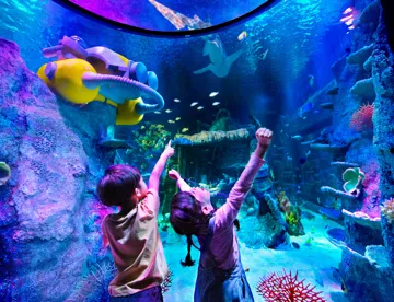 Awesome Awaits LEGOLAND Malaysia Resort