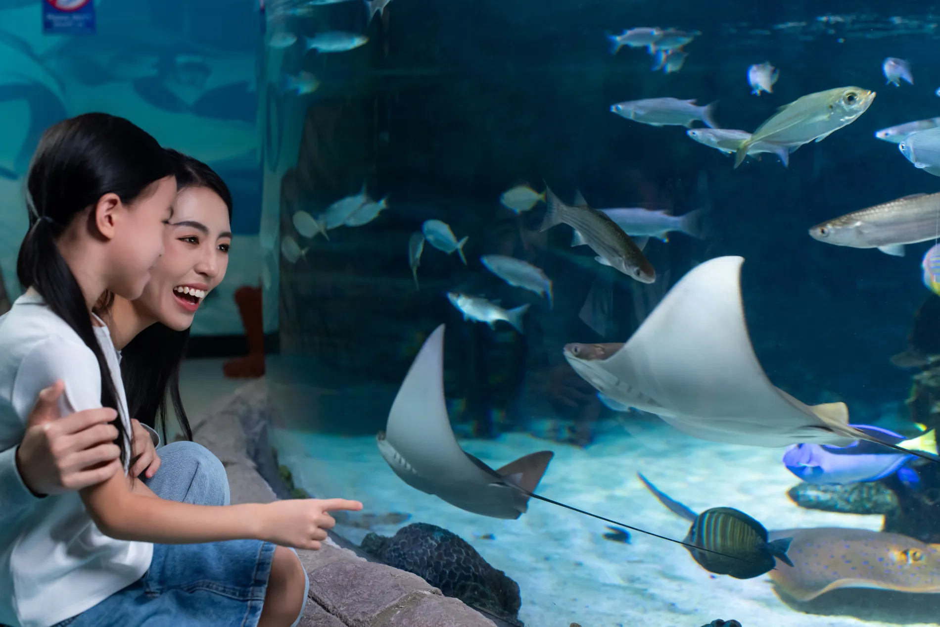 STINGRAY BAY 3