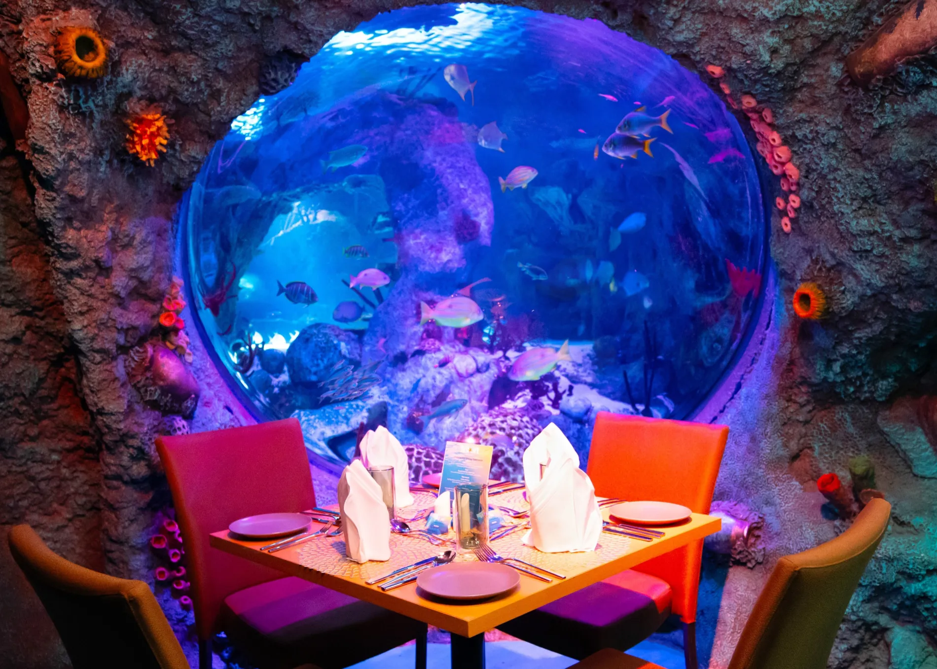 OCEAN CAVE