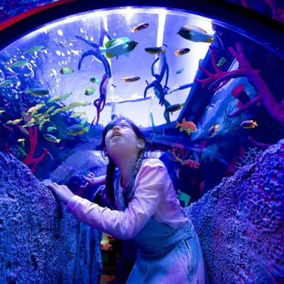 Aquarium and legoland hotsell