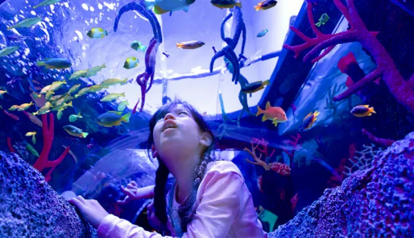 SEA LIFE at LEGOLAND Malaysia Resort