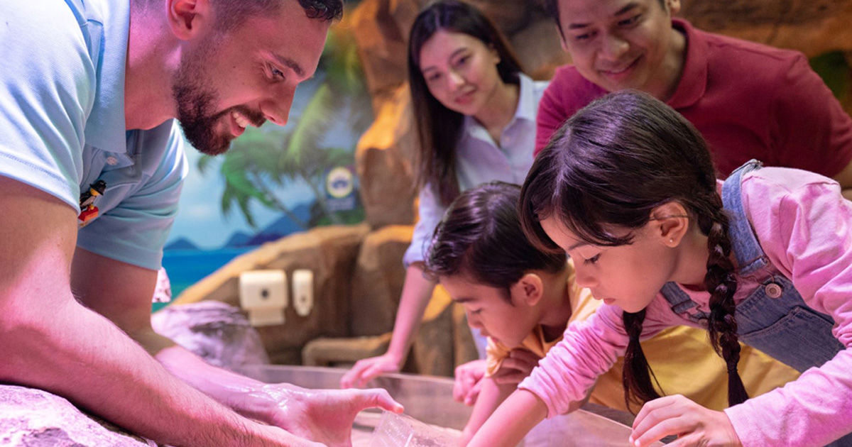 SEA LIFE Education Programs | LEGOLAND® Malaysia Resort