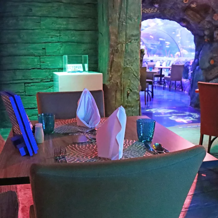 Octopus Hideout