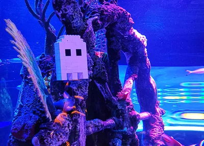 Halloween in Sea Life