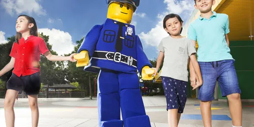 Lego Costume Character