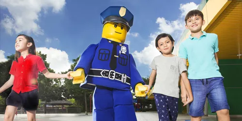 Lego Costume Character