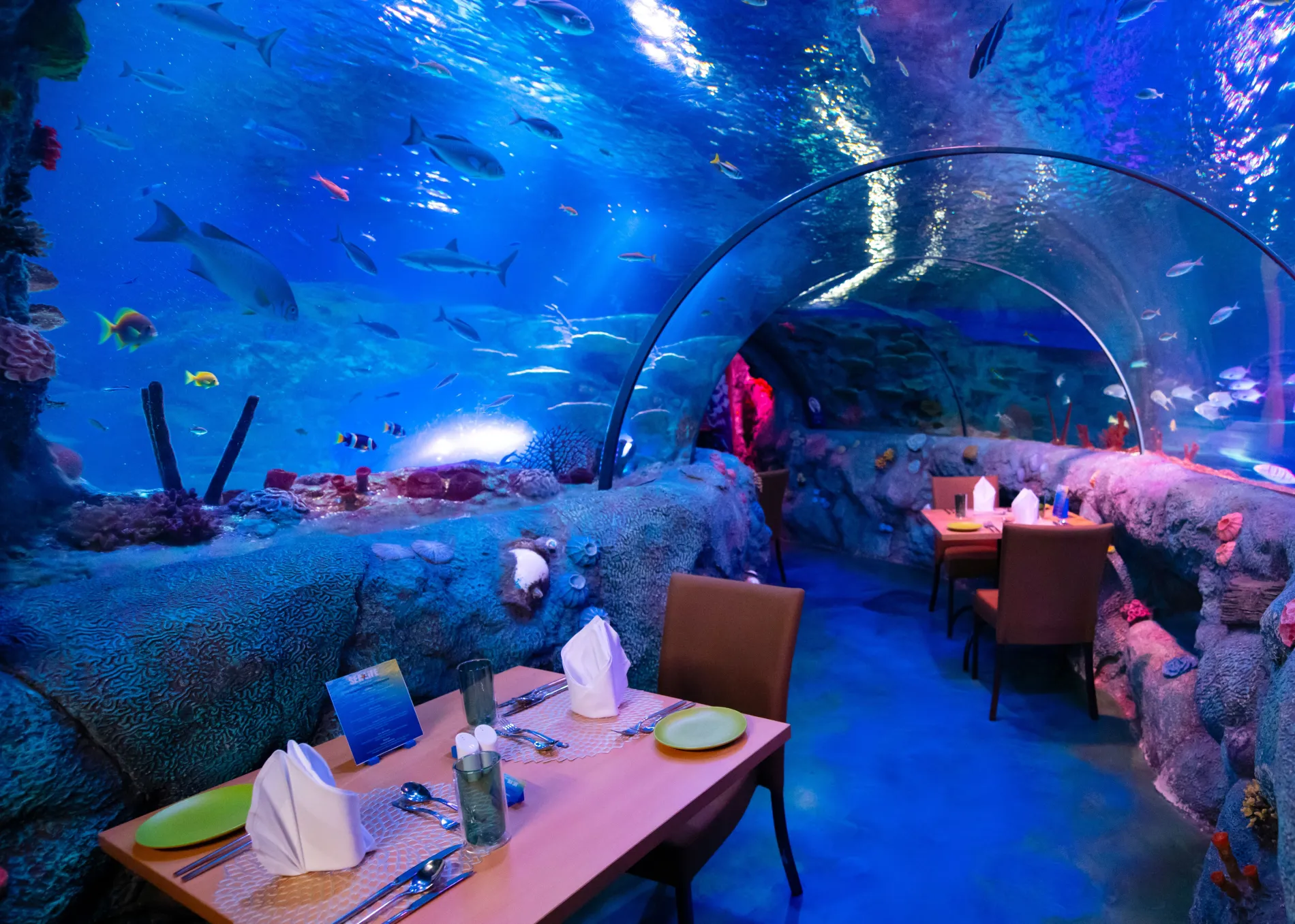 OCEAN TUNNEL