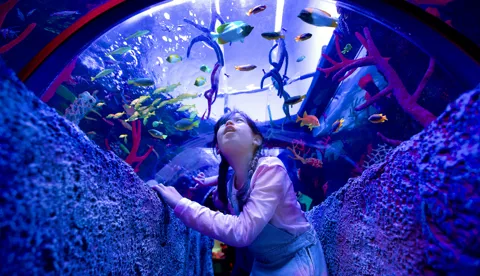 Legoland aquarium tickets hotsell