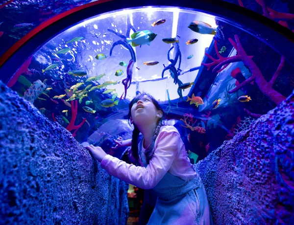 SEA LIFE at LEGOLAND Malaysia Resort