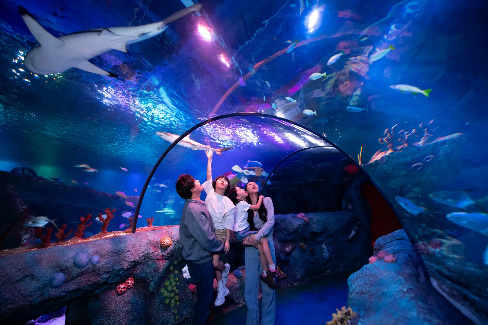 OCEAN TUNNEL 2