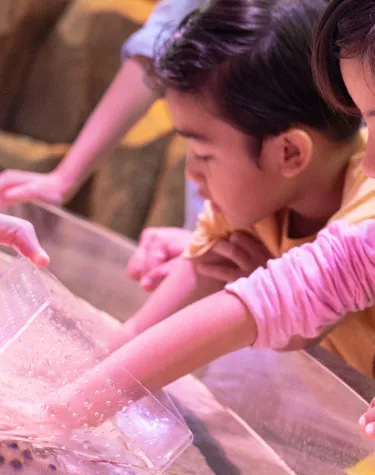 SEA LIFE at LEGOLAND Malaysia Resort