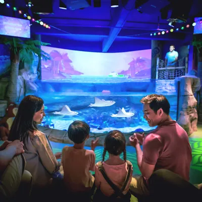 Stingray Bay