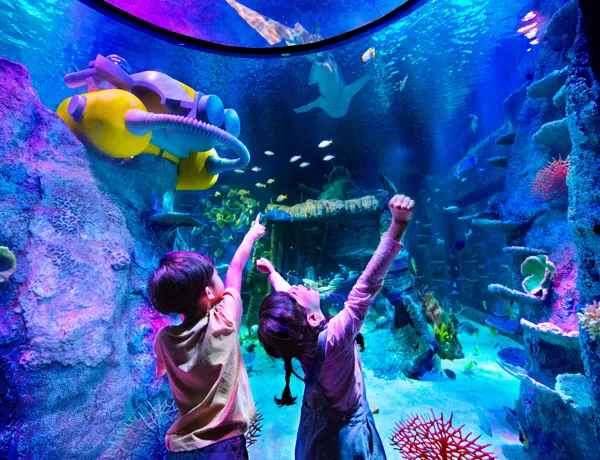 SEA LIFE at LEGOLAND Malaysia Resort