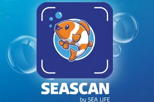 SEA SCAN Website